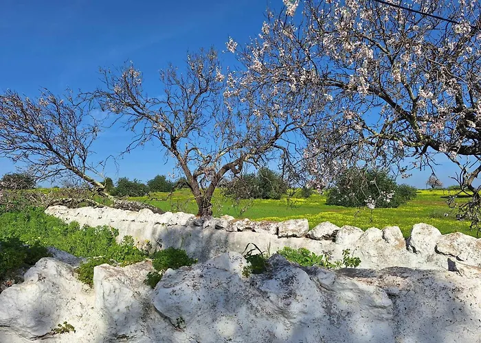 Milagres De Santa Rita